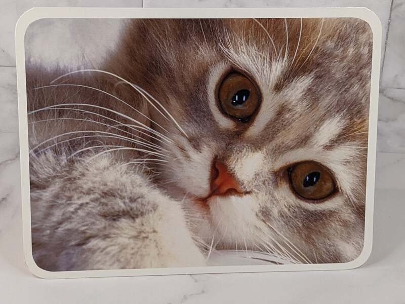 An inspirational greeting card with an image of a gray and white striped cat on the cover. 