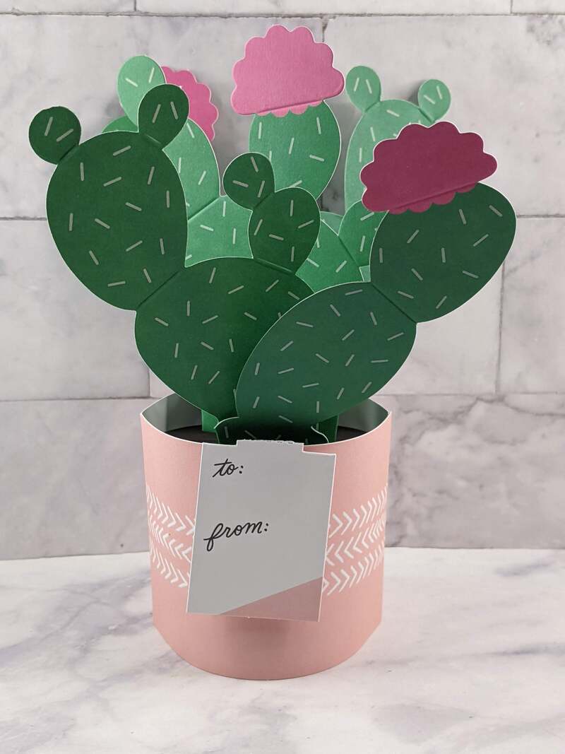 Cactus Pop-Up Card